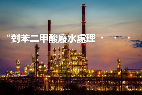“對苯二甲酸廢水處理，綠色創(chuàng)新引領環(huán)保新篇章”